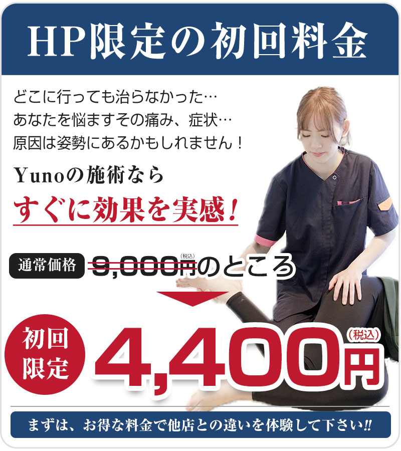 初回限定4,400円